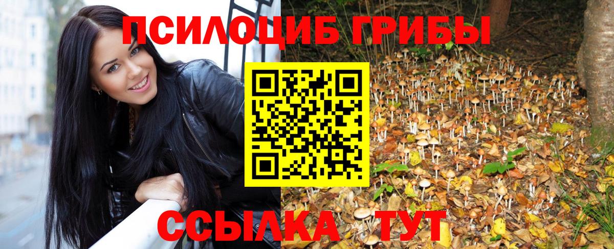 Галлюциногенные грибы Psilocybe Ликино-Дулёво